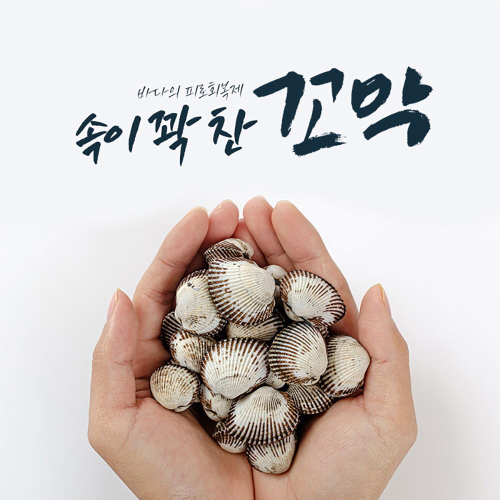 [12월 할인특가] 싱싱한 국산 새꼬막 1kg